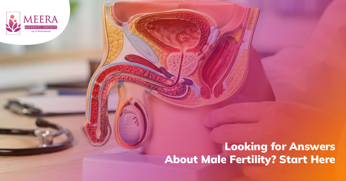 male-infertility-causes-tests-and-treatment